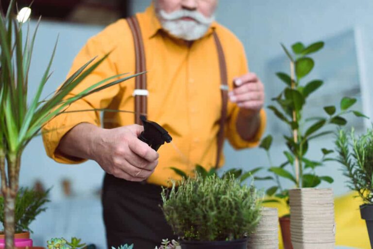 10 Best Lightweight Vacuum Cleaners for Elderly [2021 Update]