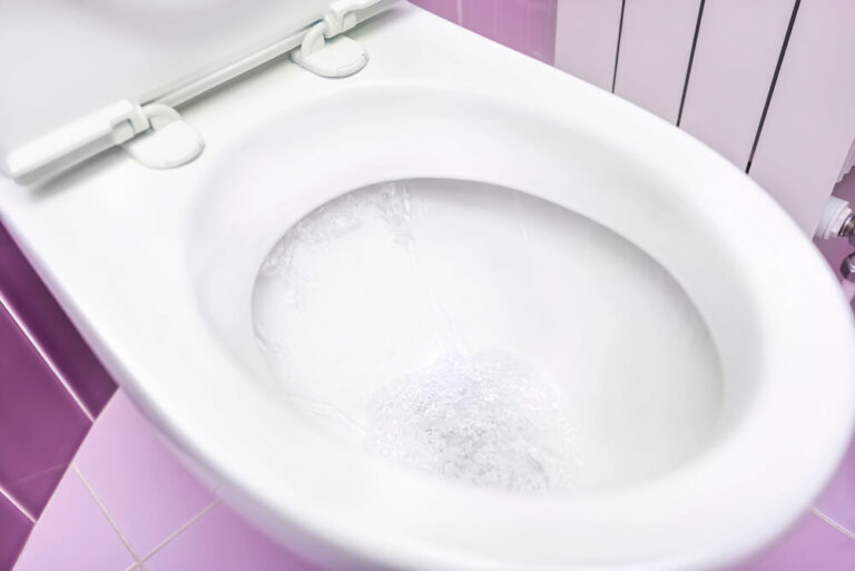 How Should You Clean a Padded Toilet Seat? (Step by Step)