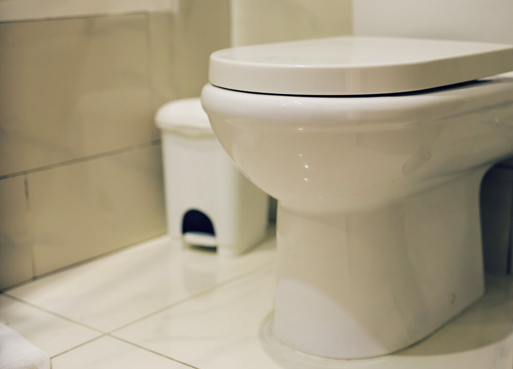 Are Padded Toilet Seats Unsanitary? (Not If Cared For Properly!)