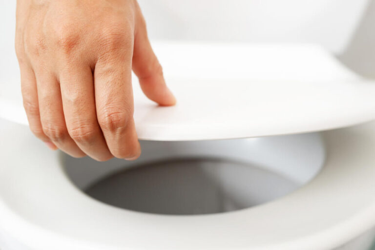 Are Padded Toilet Seats Unsanitary? (Not If Cared For Properly!)