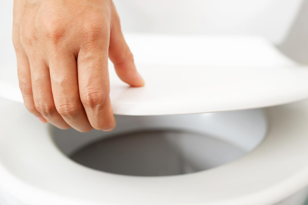 Are Padded Toilet Seats Unsanitary? (Not If Cared For Properly!)