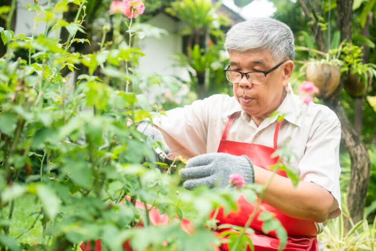 Essential Gardening Tools For Seniors Garden With Dignity