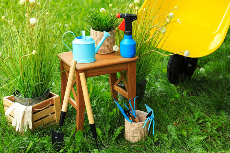 Essential Gardening Tools For Seniors Garden With Dignity