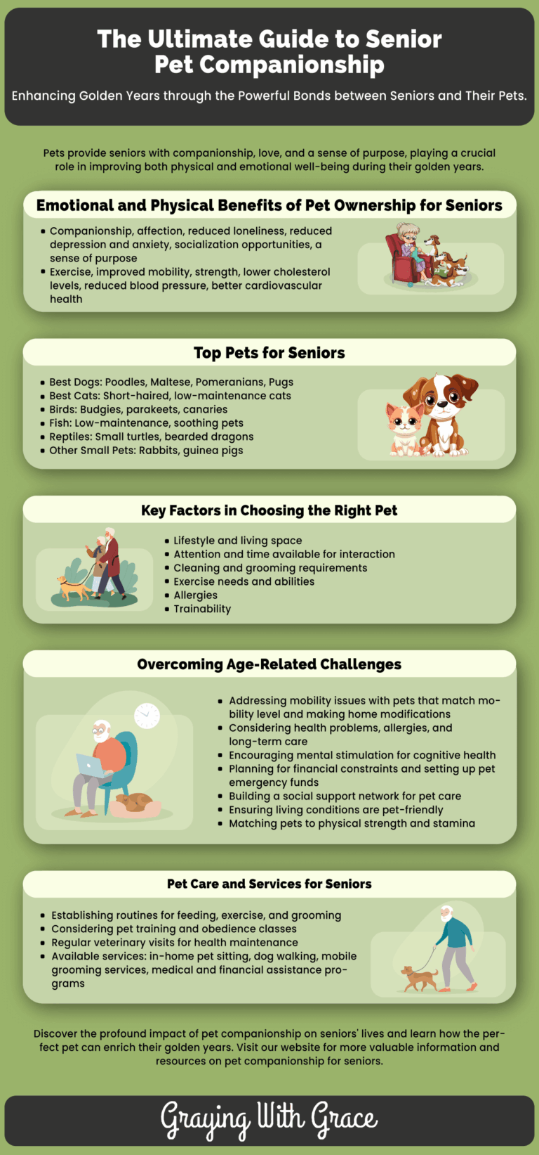 Best Pet for an Elderly Person LifeEnriching Companions