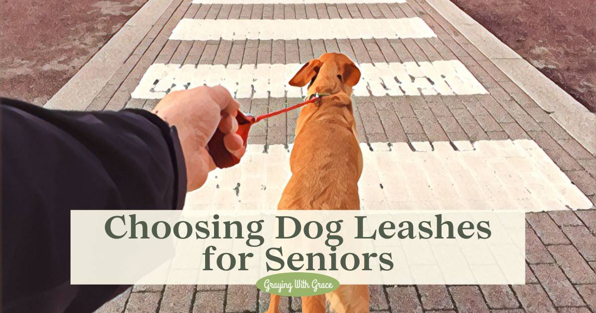 No Strain, All Gain 7 Dog Leashes for Seniors & Arthritis