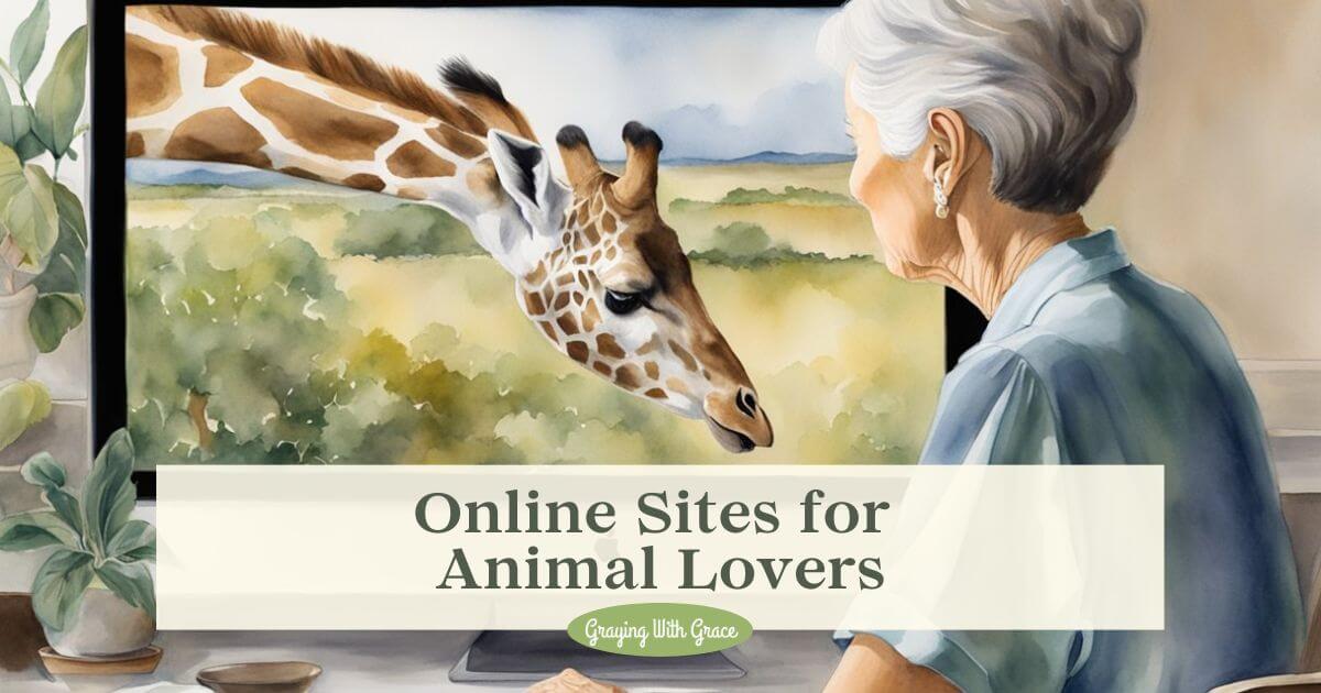 Combatting Senior Isolation Sources of Online Friendships