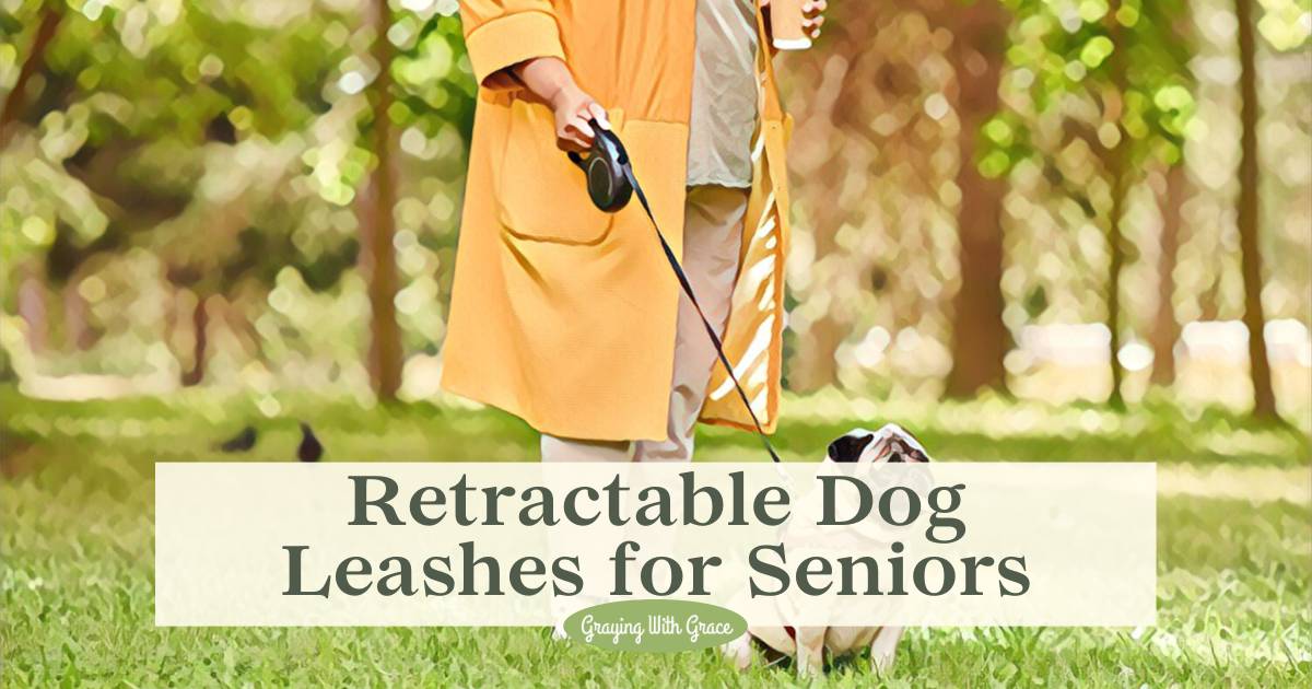 No Strain, All Gain 7 Dog Leashes for Seniors & Arthritis