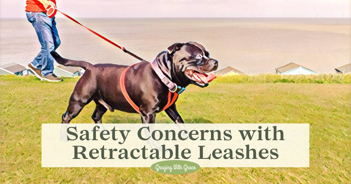 No Strain, All Gain 7 Dog Leashes for Seniors & Arthritis