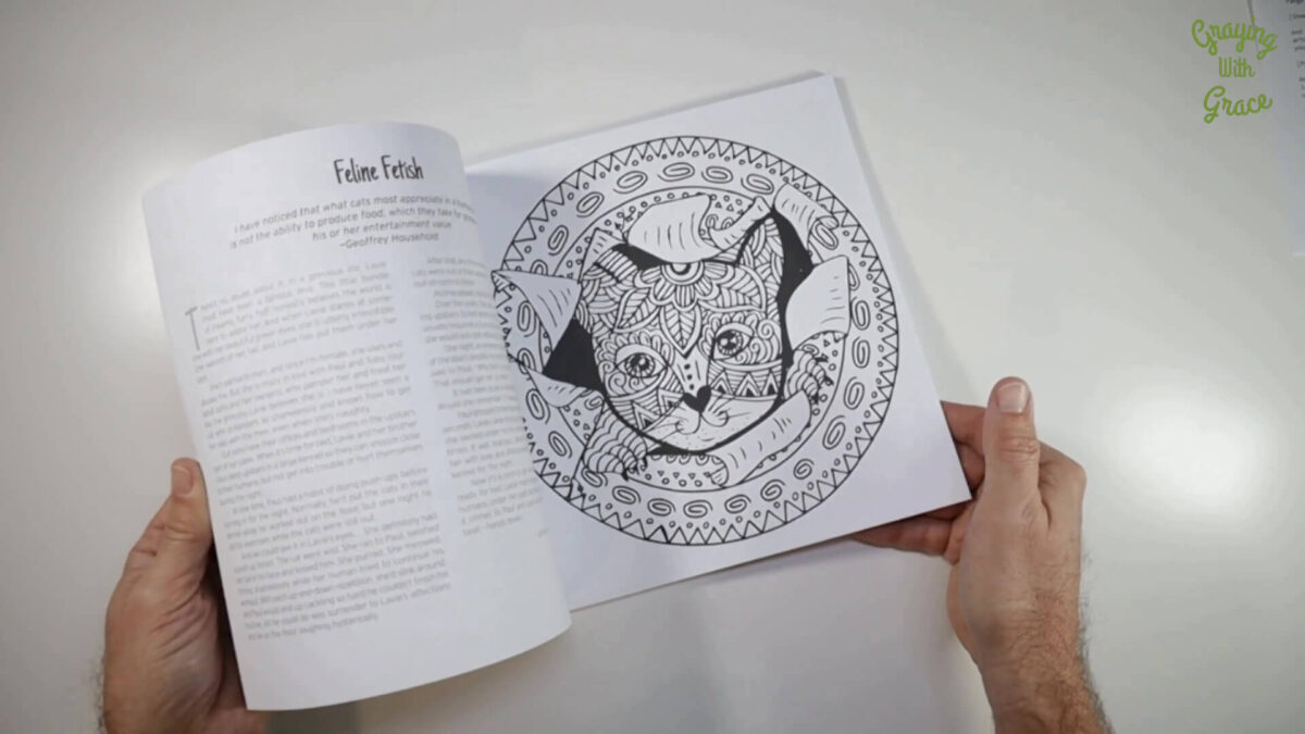 Two Books in One! Magic of Cats Coloring Book Review – Graying With Grace