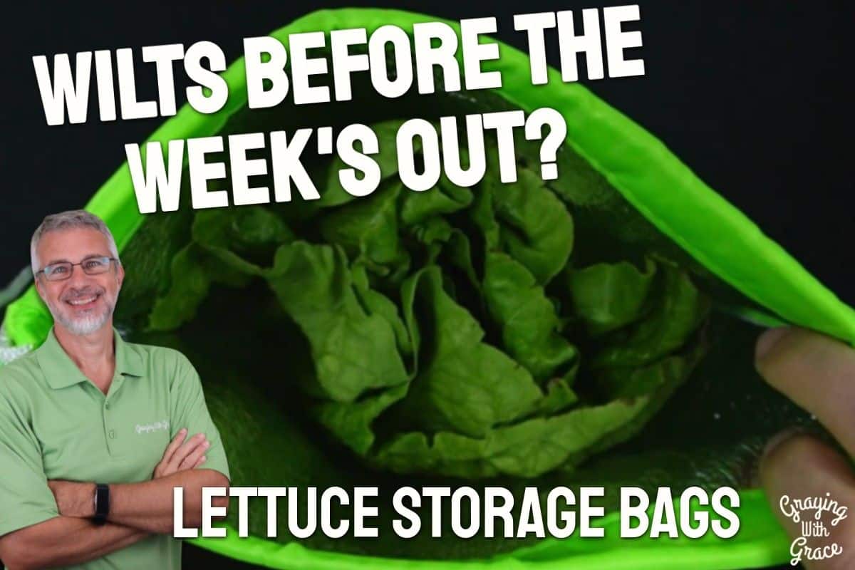 Lettuce Storage Bag with Foil Lining - Close Look at VIKROM