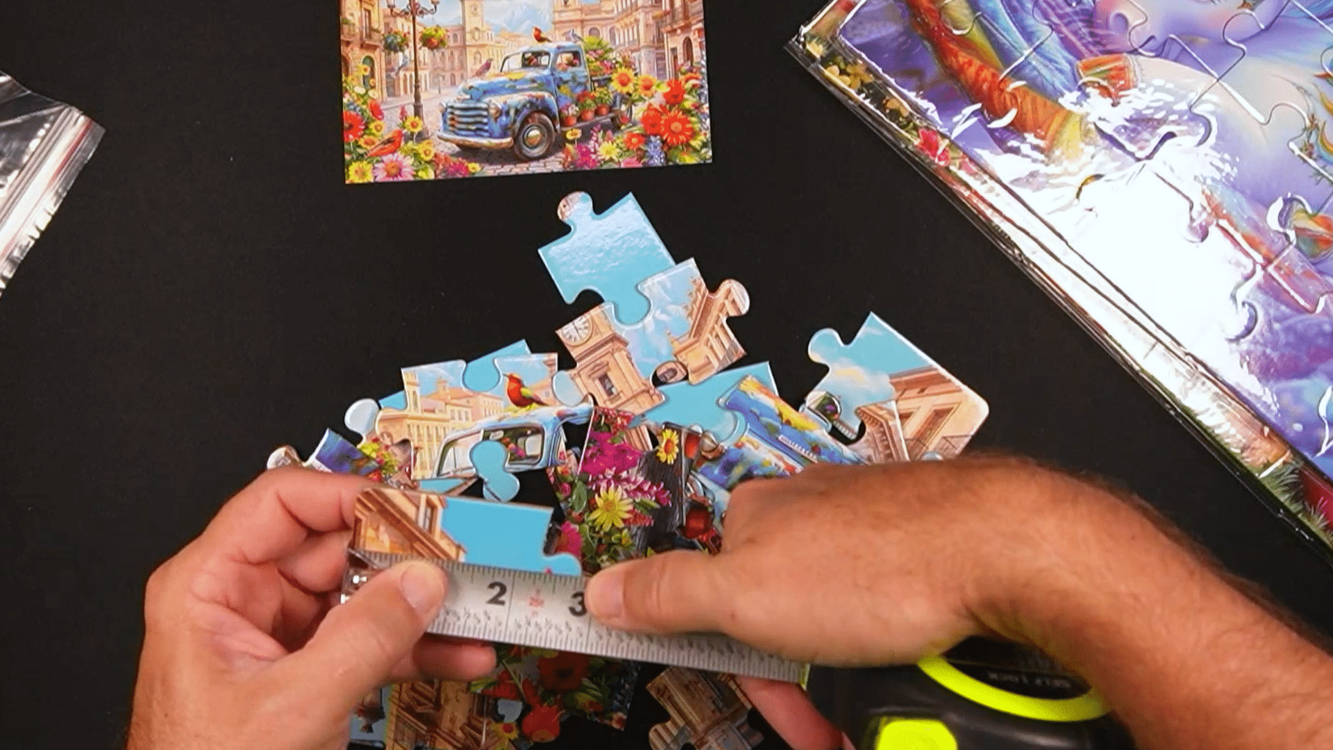 Large Piece Puzzles for Seniors with Dementia: 6-Pack Review
