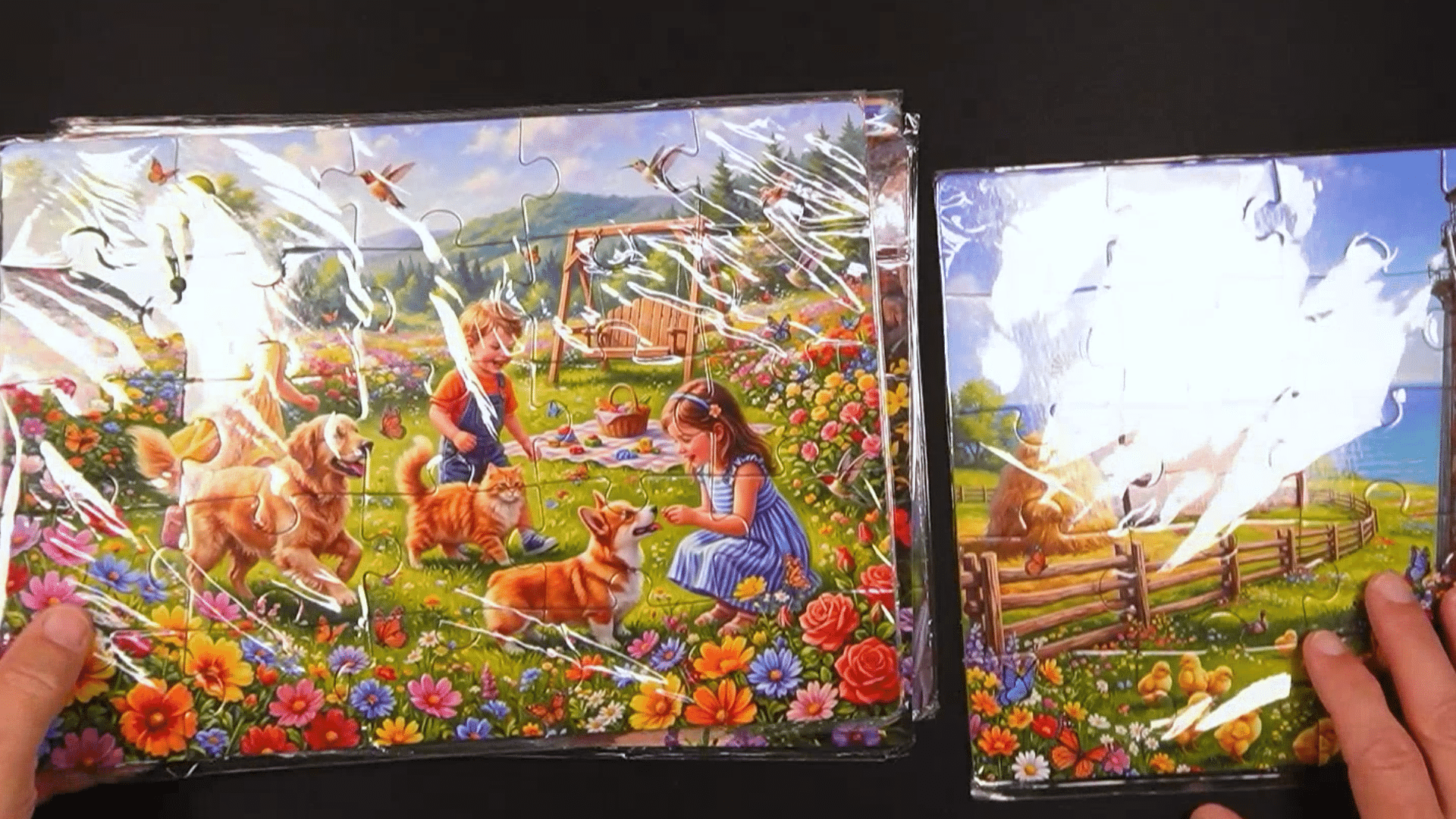 Large Piece Puzzles for Seniors with Dementia: 6-Pack Review
