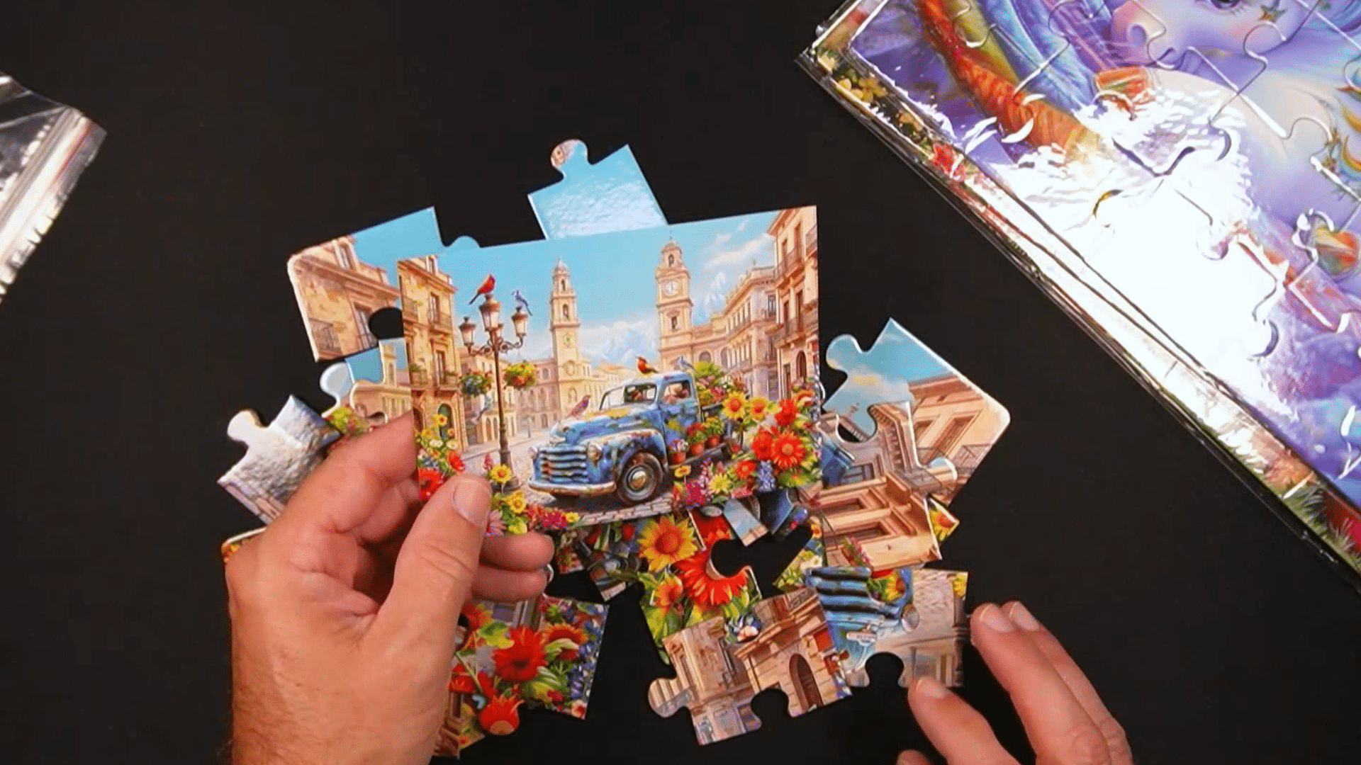 Large Piece Puzzles for Seniors with Dementia: 6-Pack Review