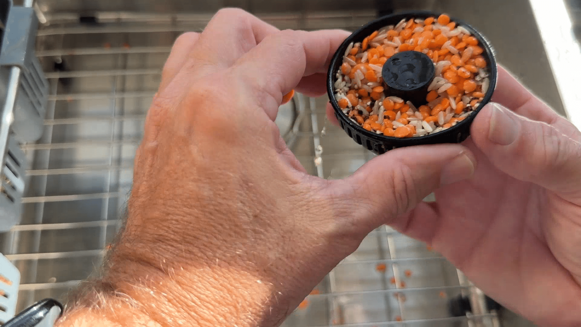 Kitchen Sink Strainer Review: Stopper and Basket in One